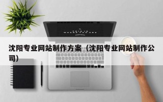 十堰沈阳专业网站制作方案（沈阳专业网站制作公司）